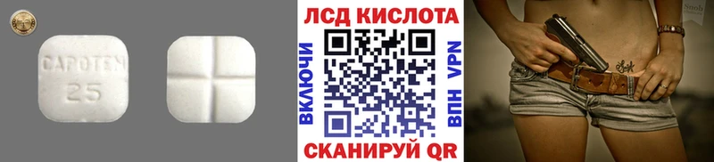 блэк спрут маркетплейс  Вышний Волочёк  ЛСД экстази ecstasy 