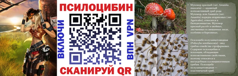 Псилоцибиновые грибы GOLDEN TEACHER  Вышний Волочёк 
