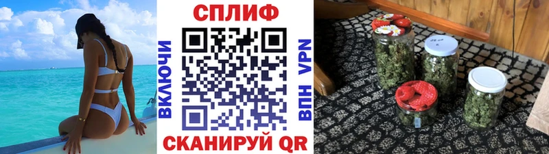 Марихуана сатива  сколько стоит  даркнет клад  Вышний Волочёк 